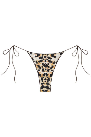 the C bottom in baby cheetah