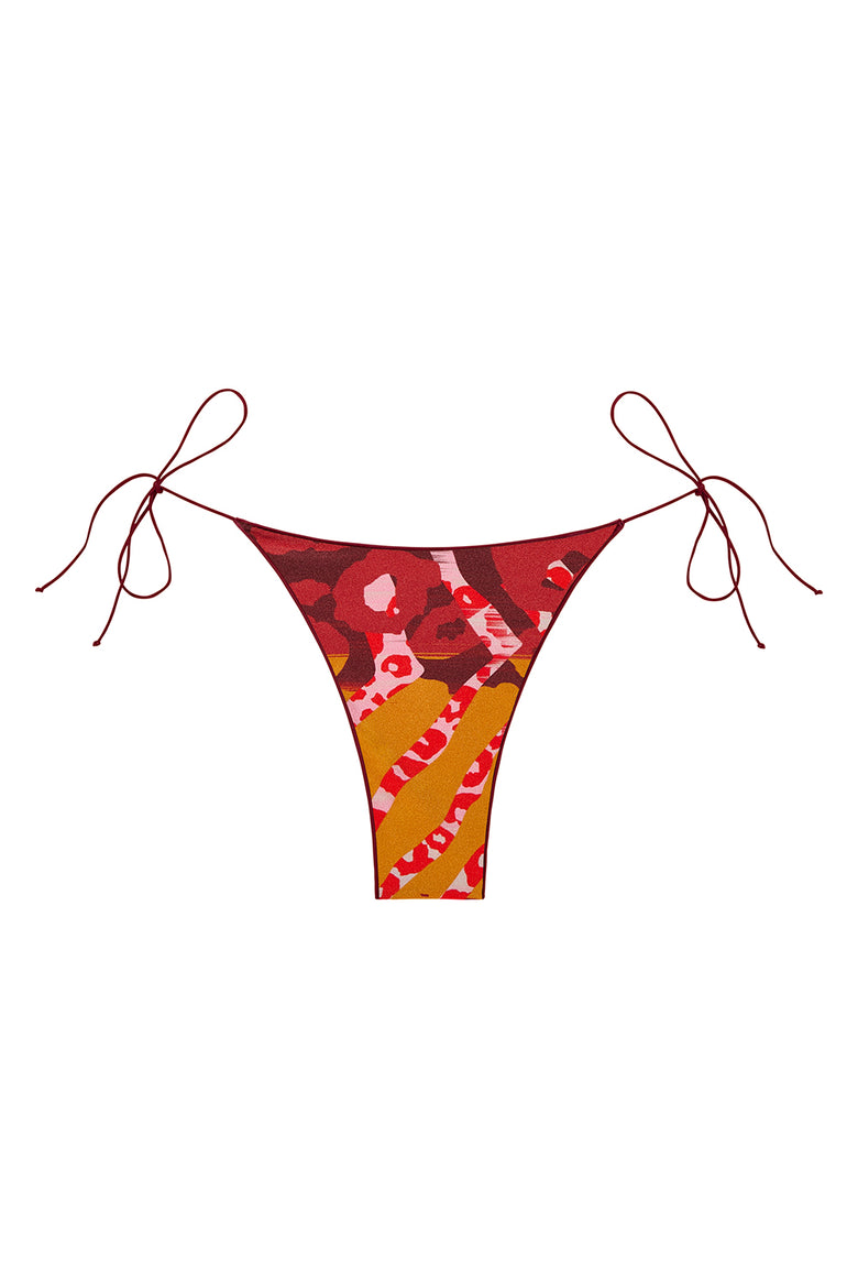 the C bottom in paradise