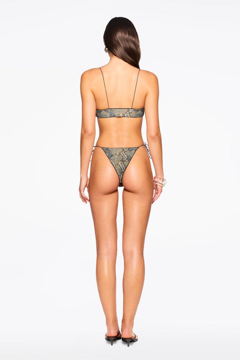 the C bralette in desert python