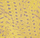 guinea yellow