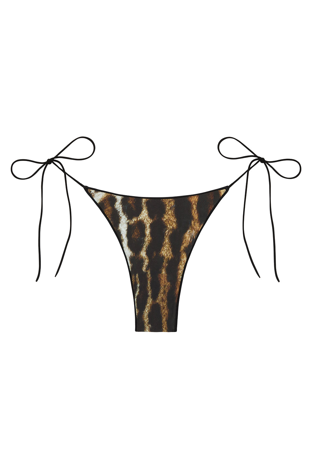 C bottom ocelot