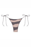 the C bottom in zebra