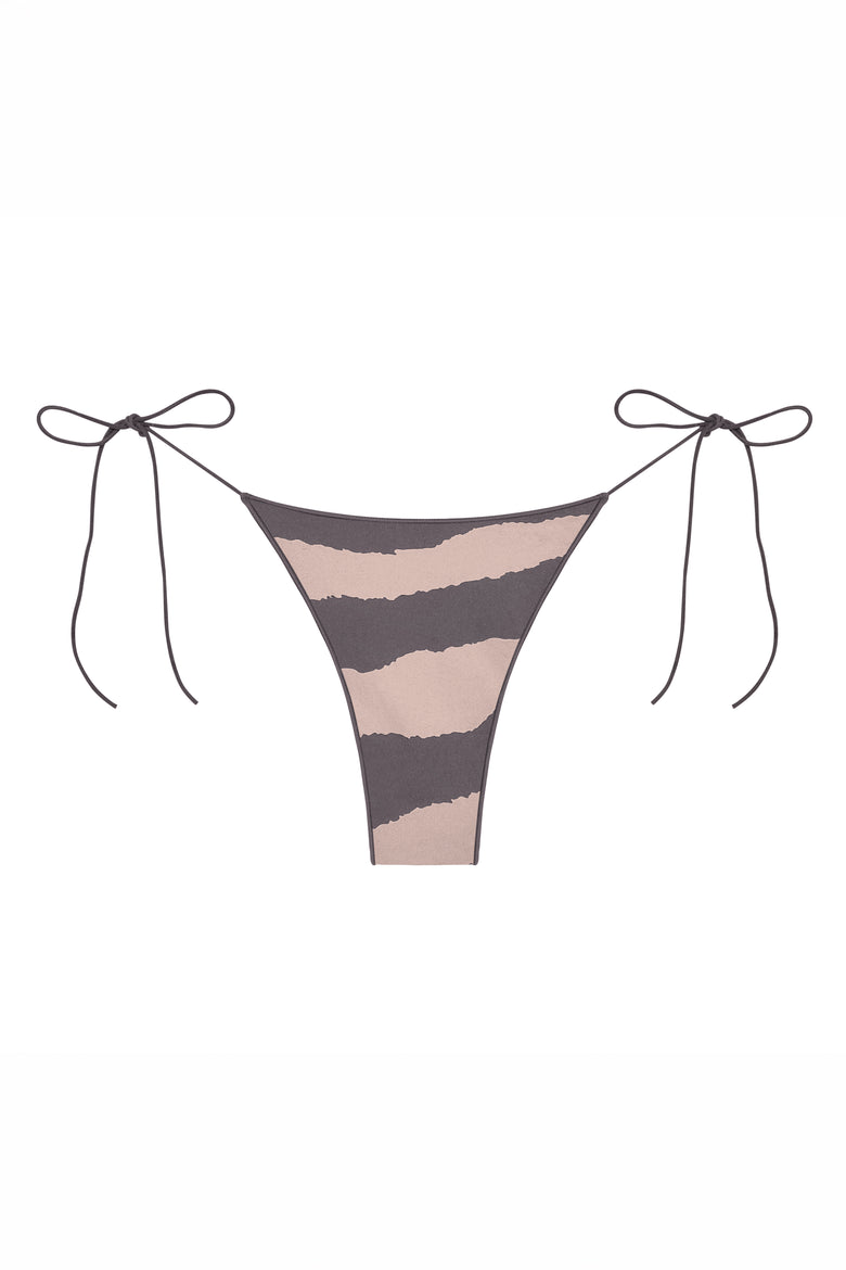 the C bottom in zebra